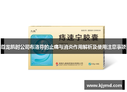 尊龙凯时公司布洛芬的止痛与消炎作用解析及使用注意事项